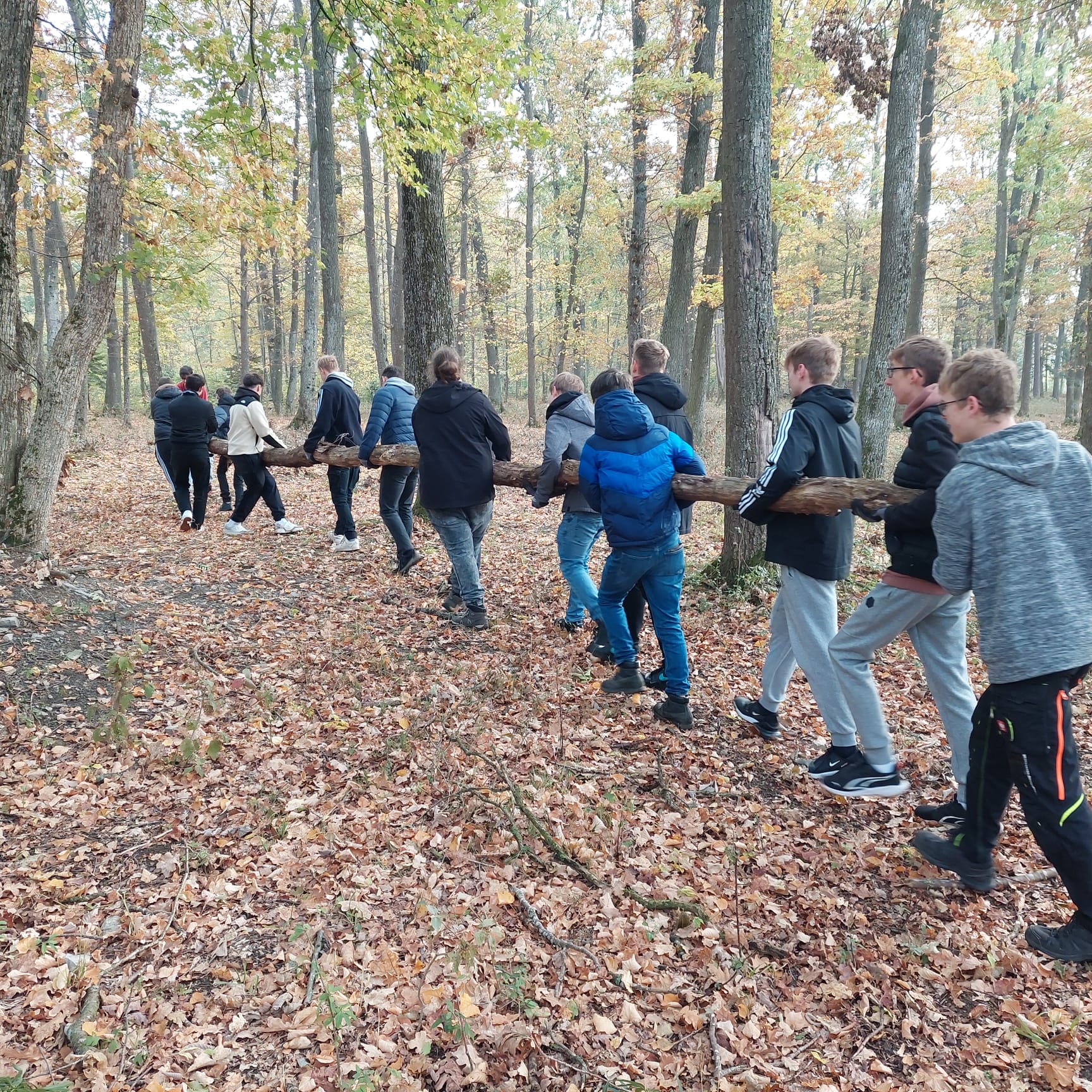 Der Wald als Bildungsort